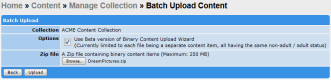 Screenshot showing the first page of the Batch Upload wizard